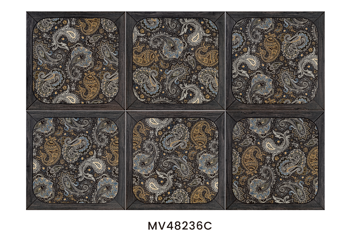 WV48236C-s WV48236C-s